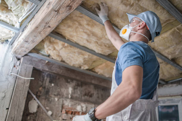 Types of Insulation We Offer in Cranston, RI